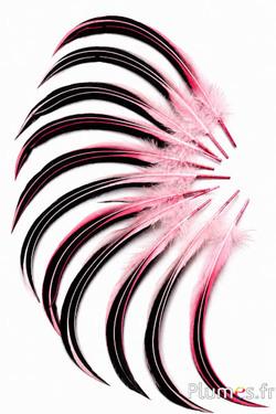 Eend Mandarin - 15-20 cm - roze
